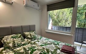 Apartament 221 przy Niedźwiadku